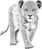 White Leopard Clip Art